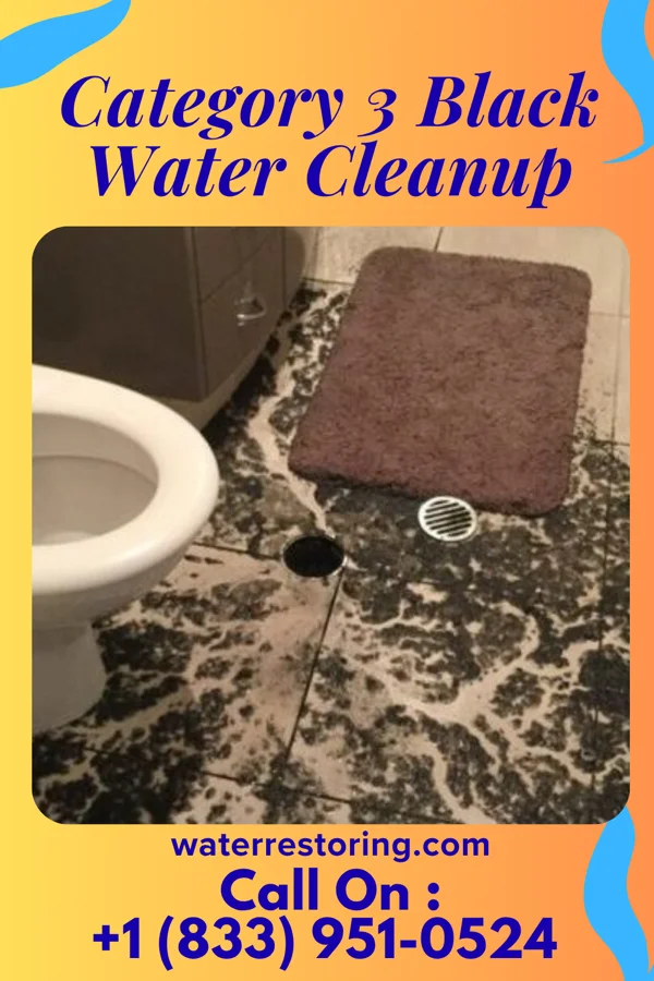 Category 3 Black Water Cleanup in Ironwood, MI