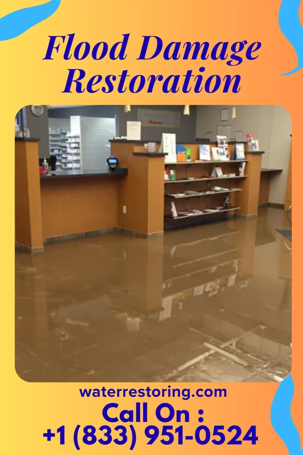 Flood Damage Restoration in Ironwood, MI