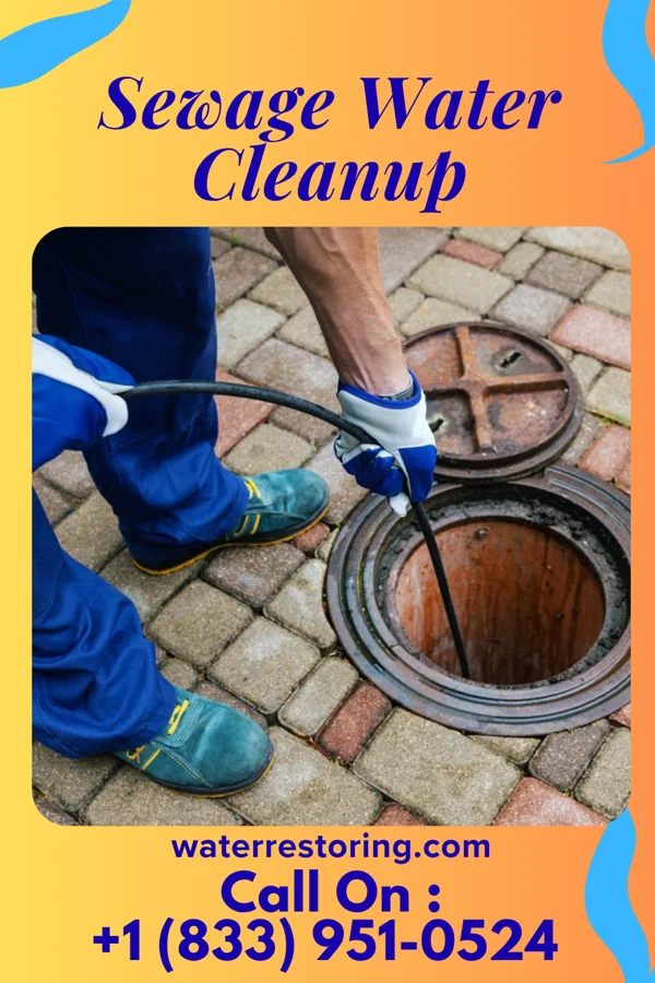 Sewage Water Cleanup in Ironwood, MI
